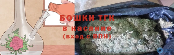мдпв Каменка