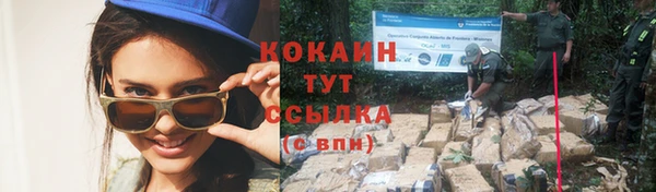 кокс Алексеевка