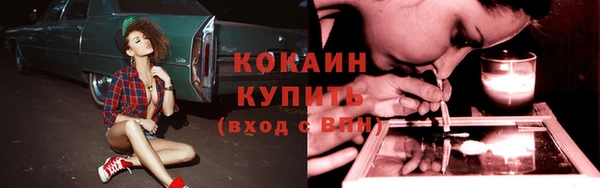 твердый Алексин