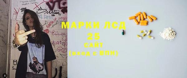 мет Елабуга