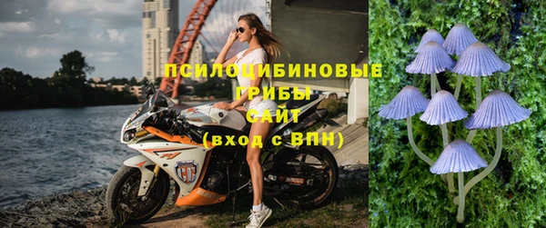 твердый Алексин