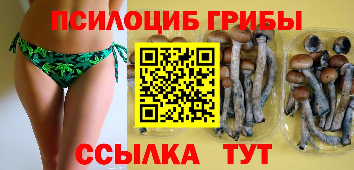 Биробиджан  Псилоцибиновые грибы Magic Shrooms  Вход с VPN  Галлюциногенные грибы Magic Shrooms 